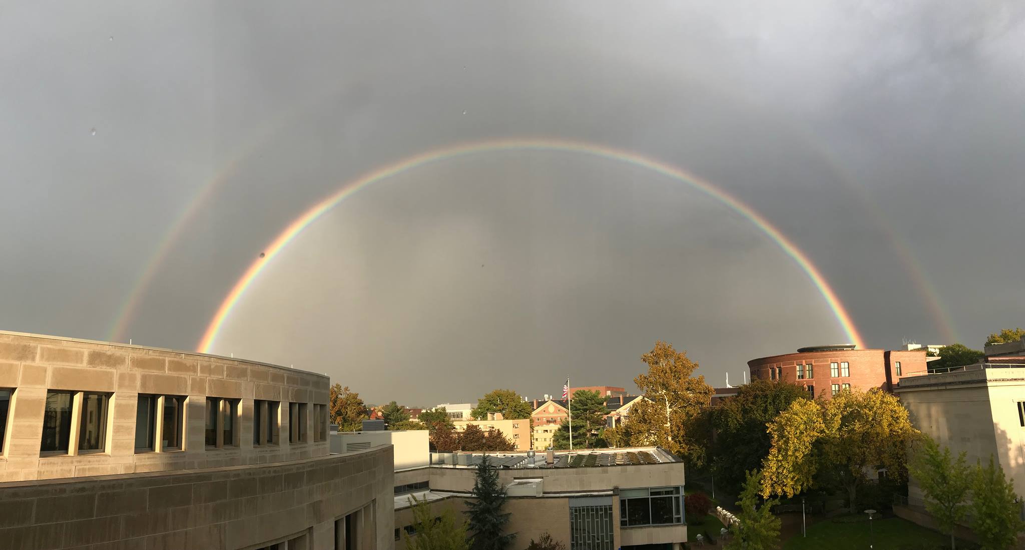 校園中的彩虹，見證上帝的同在。（圖／翻攝自FB@@harvardlaw）